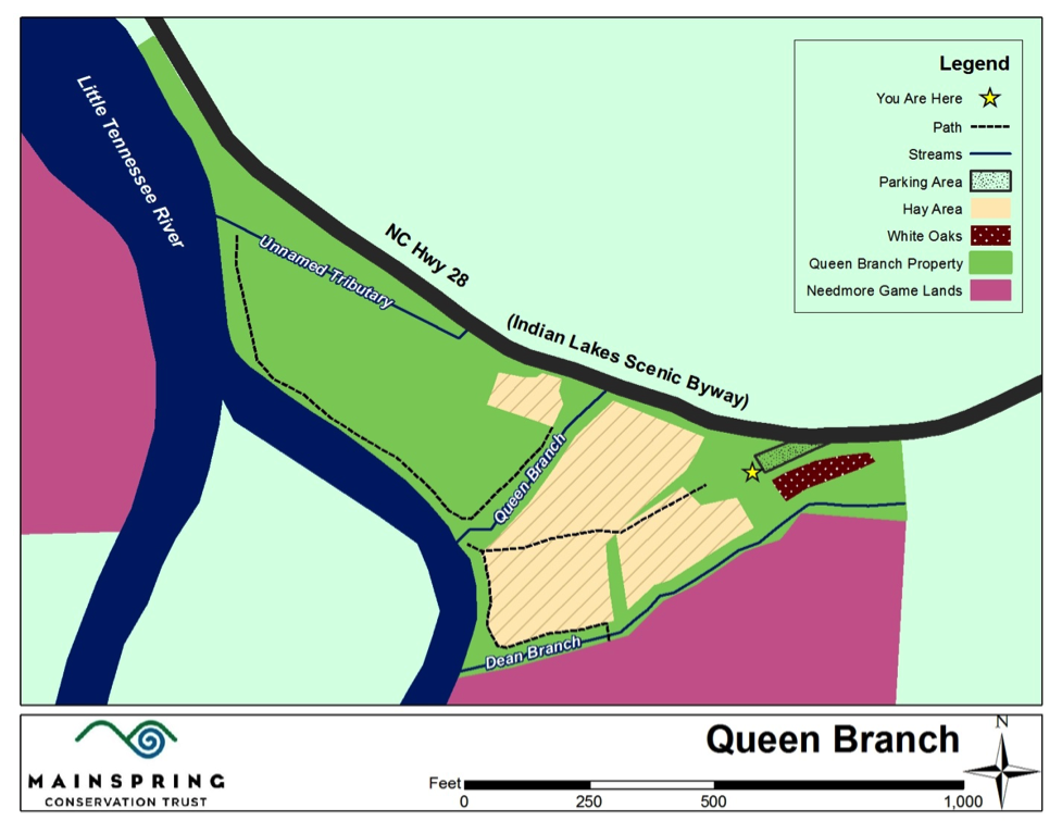 queen branch map