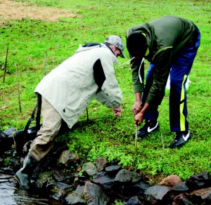 Jason Meador, with Mainspring Conversation Trust, works with a Franklin High student to plant dogwoods along Crawford Branch in November. (Photo from The Franklin Press)