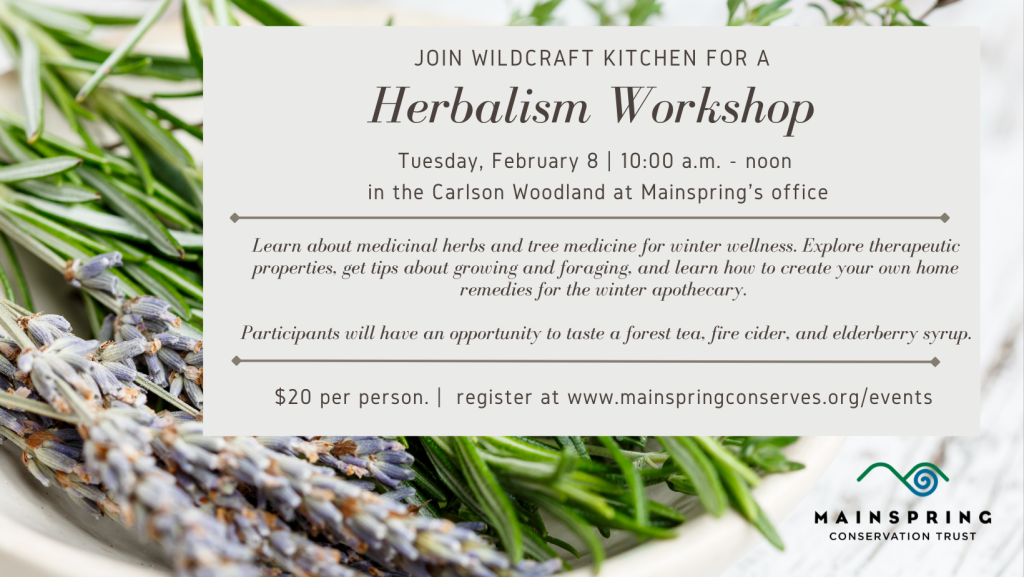 Herbalism with Wildcraft Kitchen