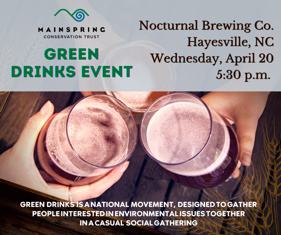 Green Drinks at Nocturnal Brewing