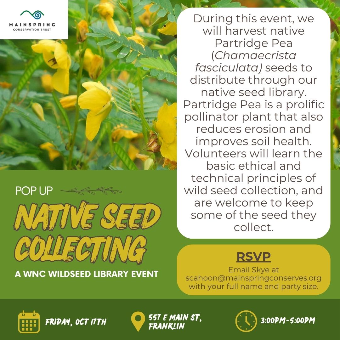 Pop Up Event: Native Seed Collecting